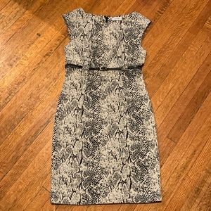 Calvin Klein cream and black snake print dress size 4